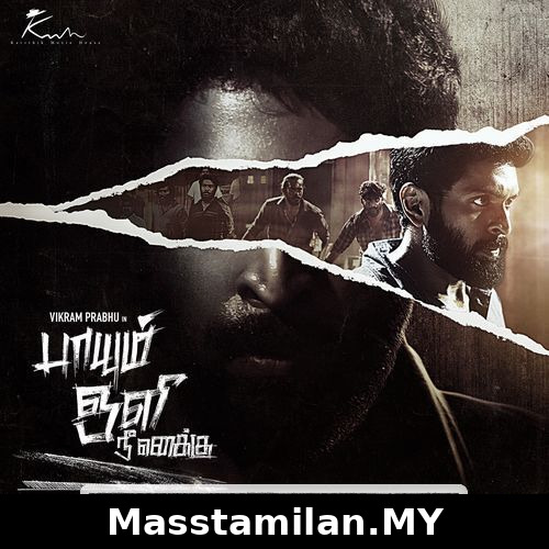 Paayum Oli Nee Yenakku